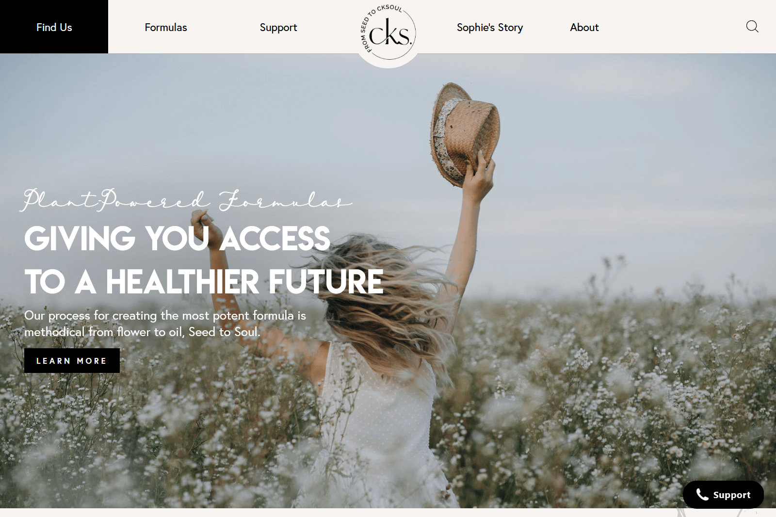 CK Soul storefront screenshot