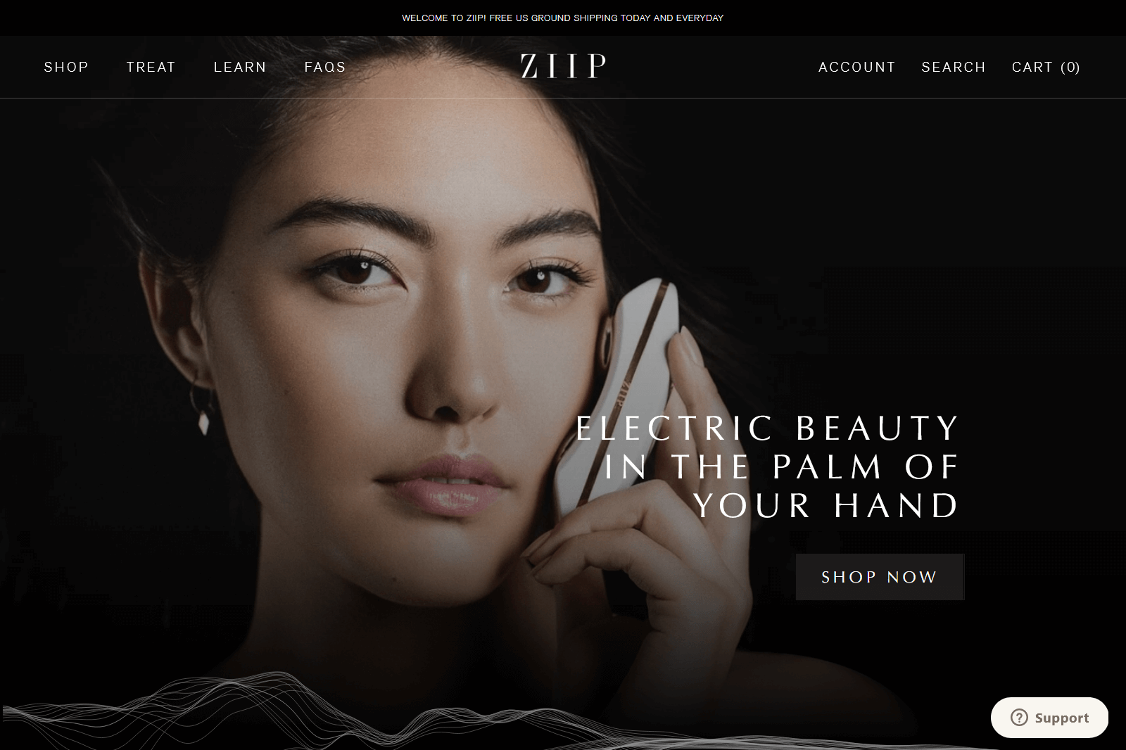 ZIIP Beauty storefront screenshot